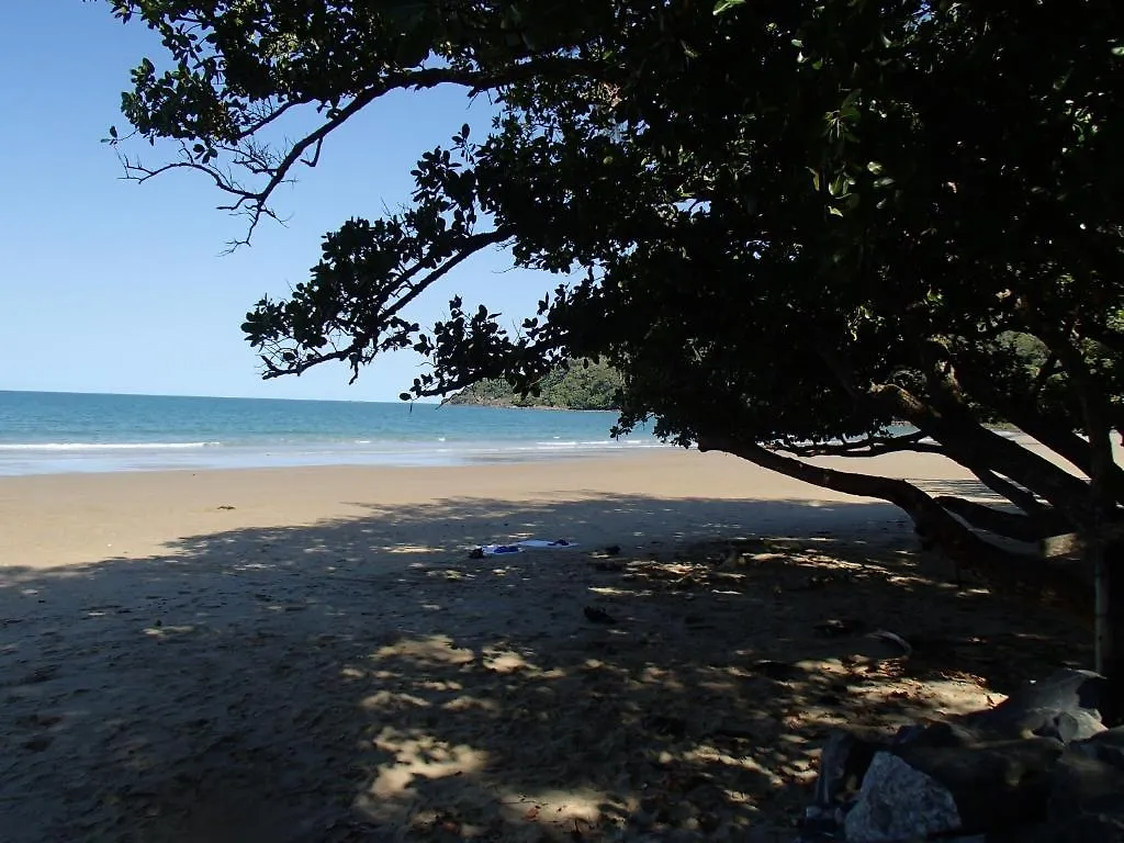 Willa Daintree Crocodylus Cow Bay Australia