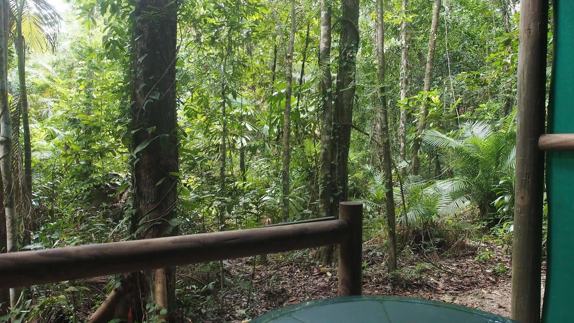 Willa Daintree Crocodylus Cow Bay 0*,