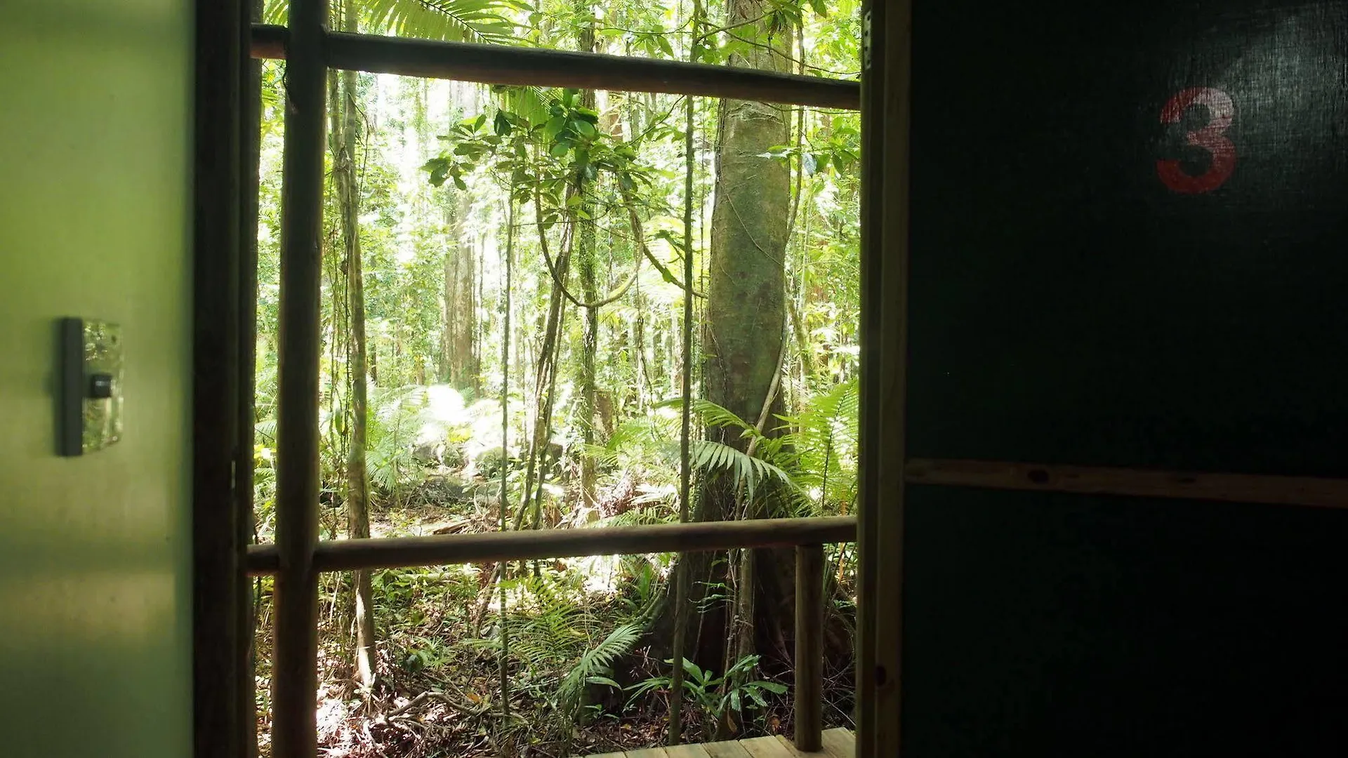 Willa Daintree Crocodylus Cow Bay Domek letniskowy