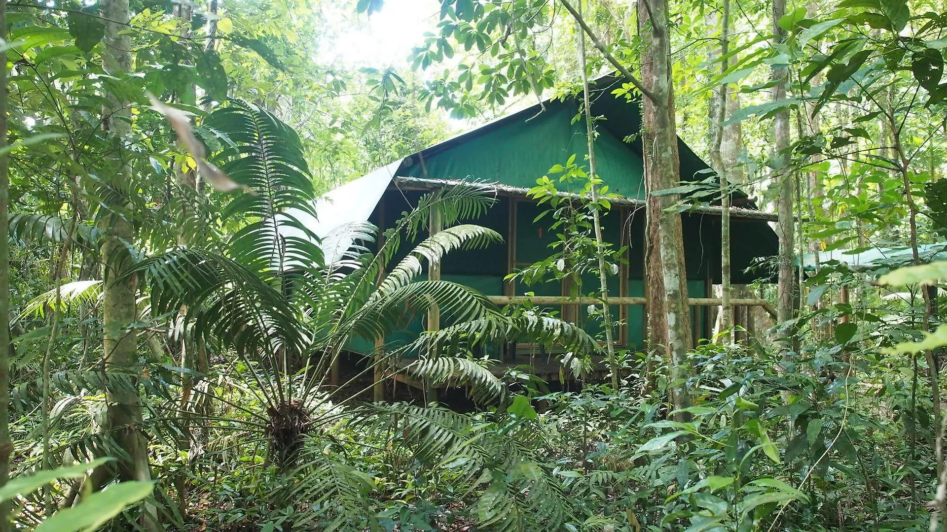 Domek letniskowy Willa Daintree Crocodylus Cow Bay