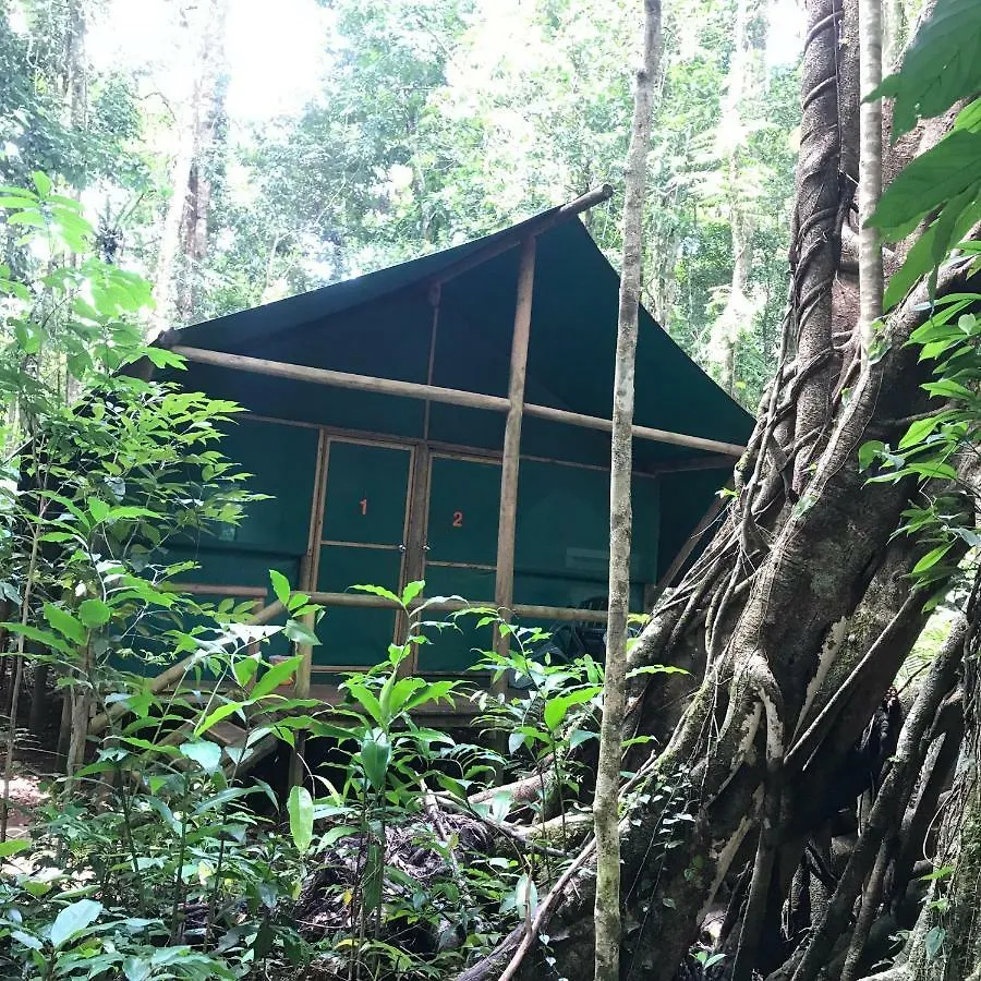 Willa Daintree Crocodylus Cow Bay Domek letniskowy