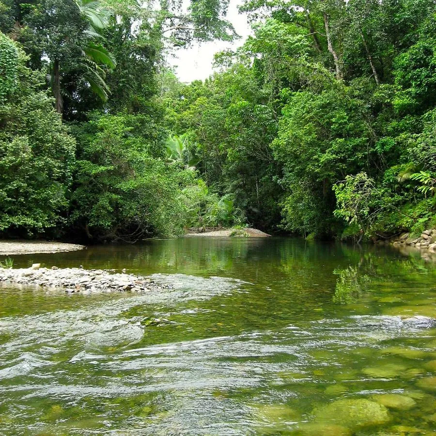 Willa Daintree Crocodylus Cow Bay Australia