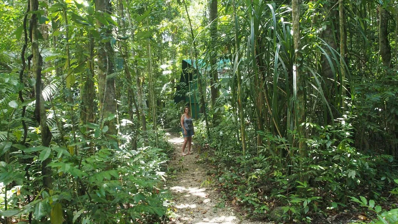 Domek letniskowy Willa Daintree Crocodylus Cow Bay Australia