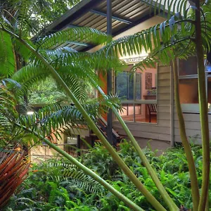 Chambers Wildlife Rainforest Lodge