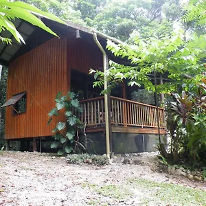 Bed & Breakfast Epiphyte, Cow Bay