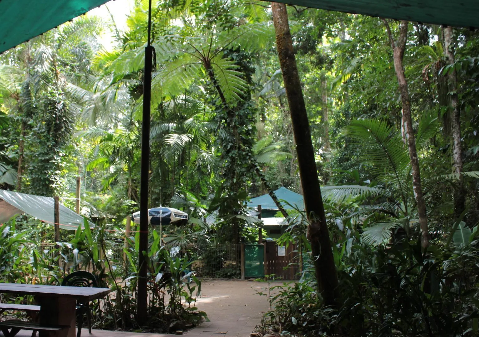 Daintree Crocodylus Village Cow Bay 0*,  Australia