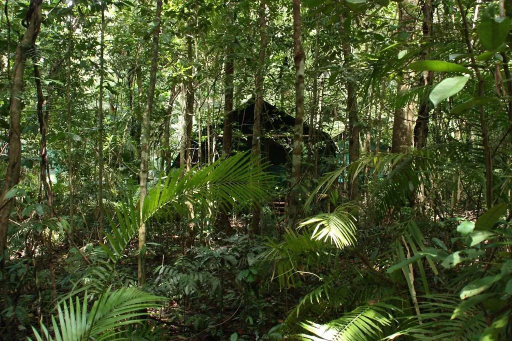 Daintree Crocodylus Village Cow Bay