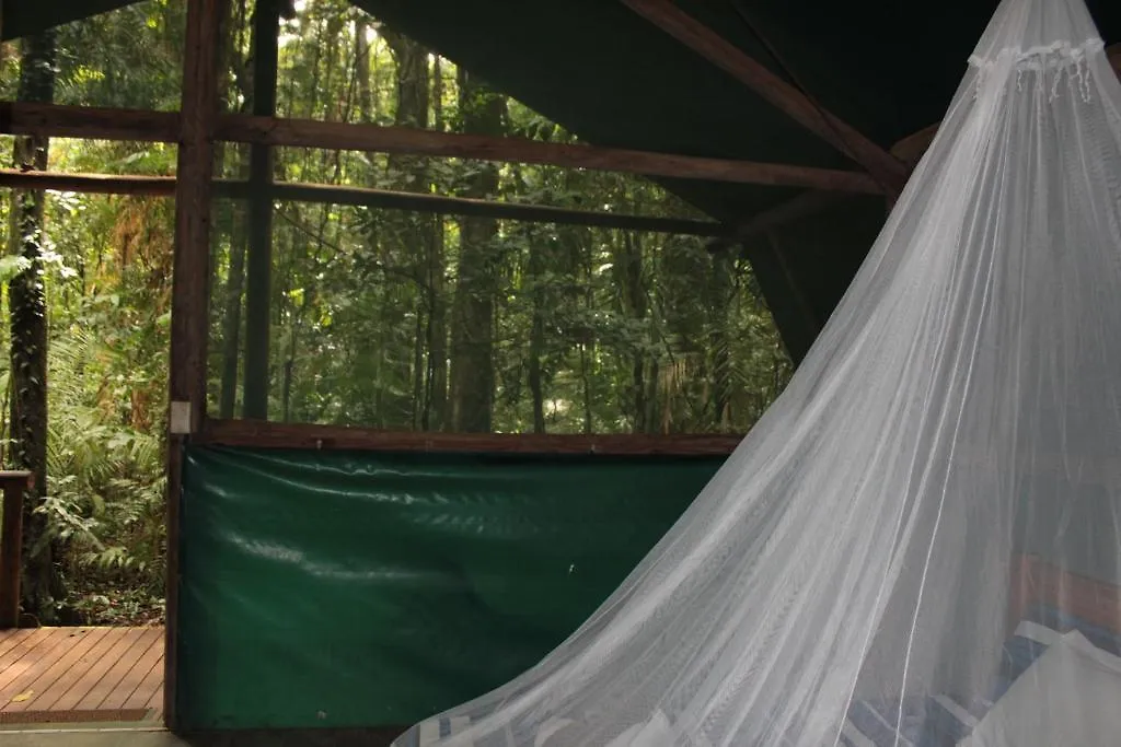 Daintree Crocodylus Village Cow Bay Lodge