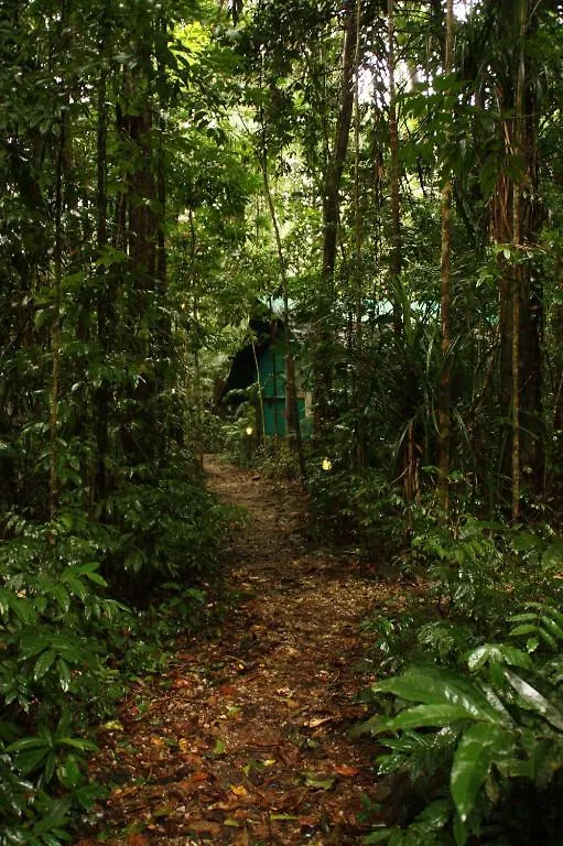 Lodge Daintree Crocodylus Village Cow Bay Australia