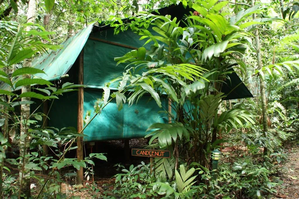 Lodge Daintree Crocodylus Village Cow Bay