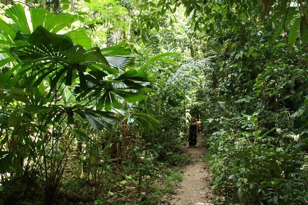 Daintree Crocodylus Village Cow Bay 0*,  Australia