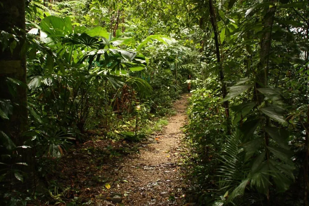 Daintree Crocodylus Village Cow Bay Lodge