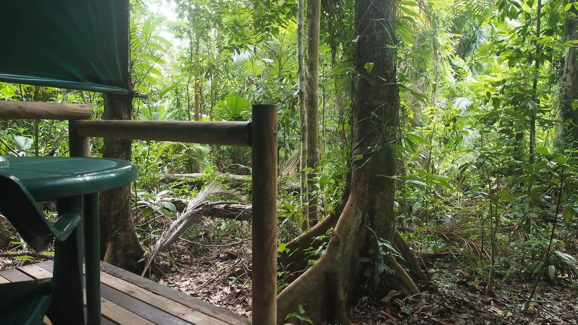 Daintree Crocodylus Village Cow Bay Lodge