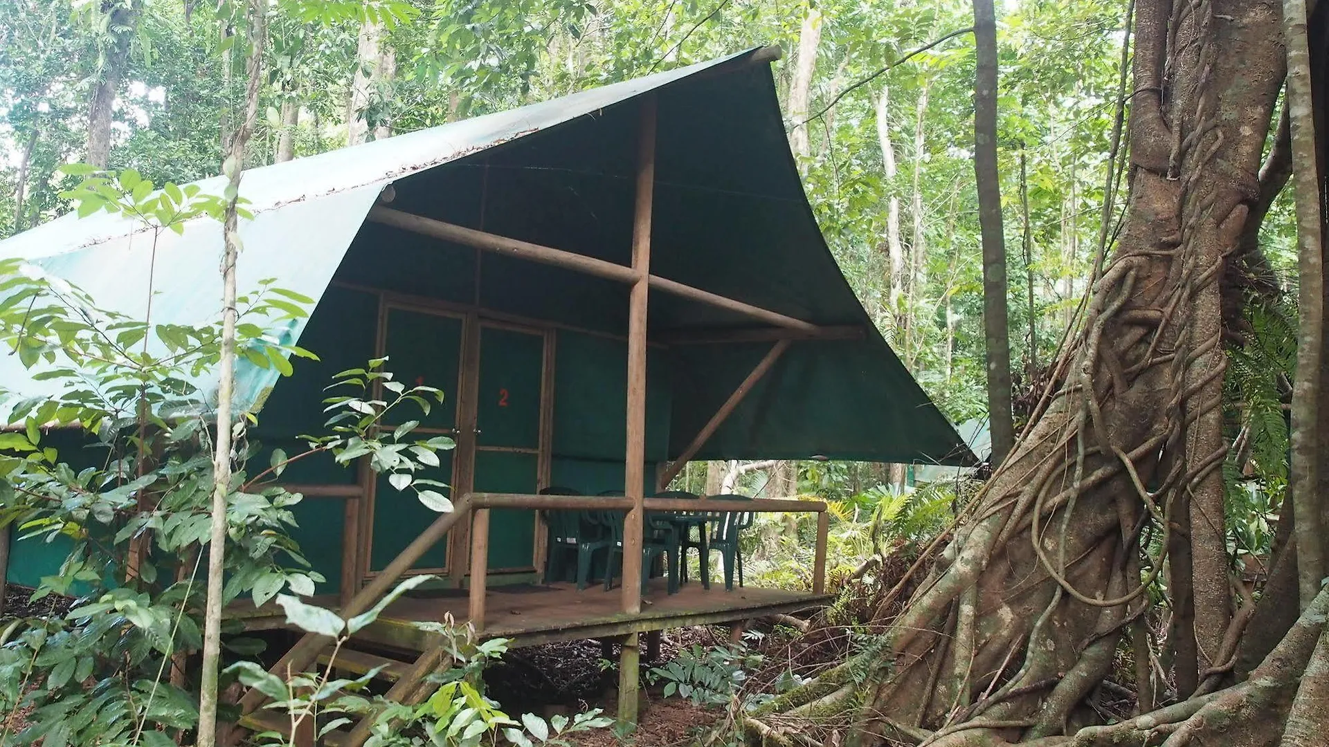 Daintree Crocodylus Village Cow Bay