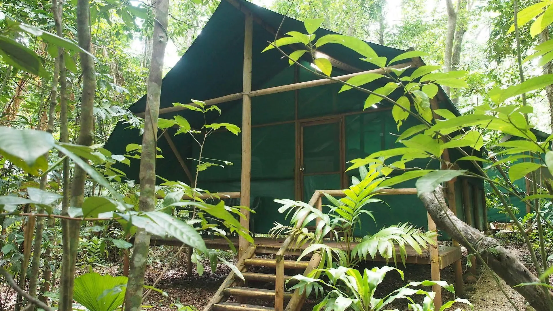 Lodge Daintree Crocodylus Village Cow Bay