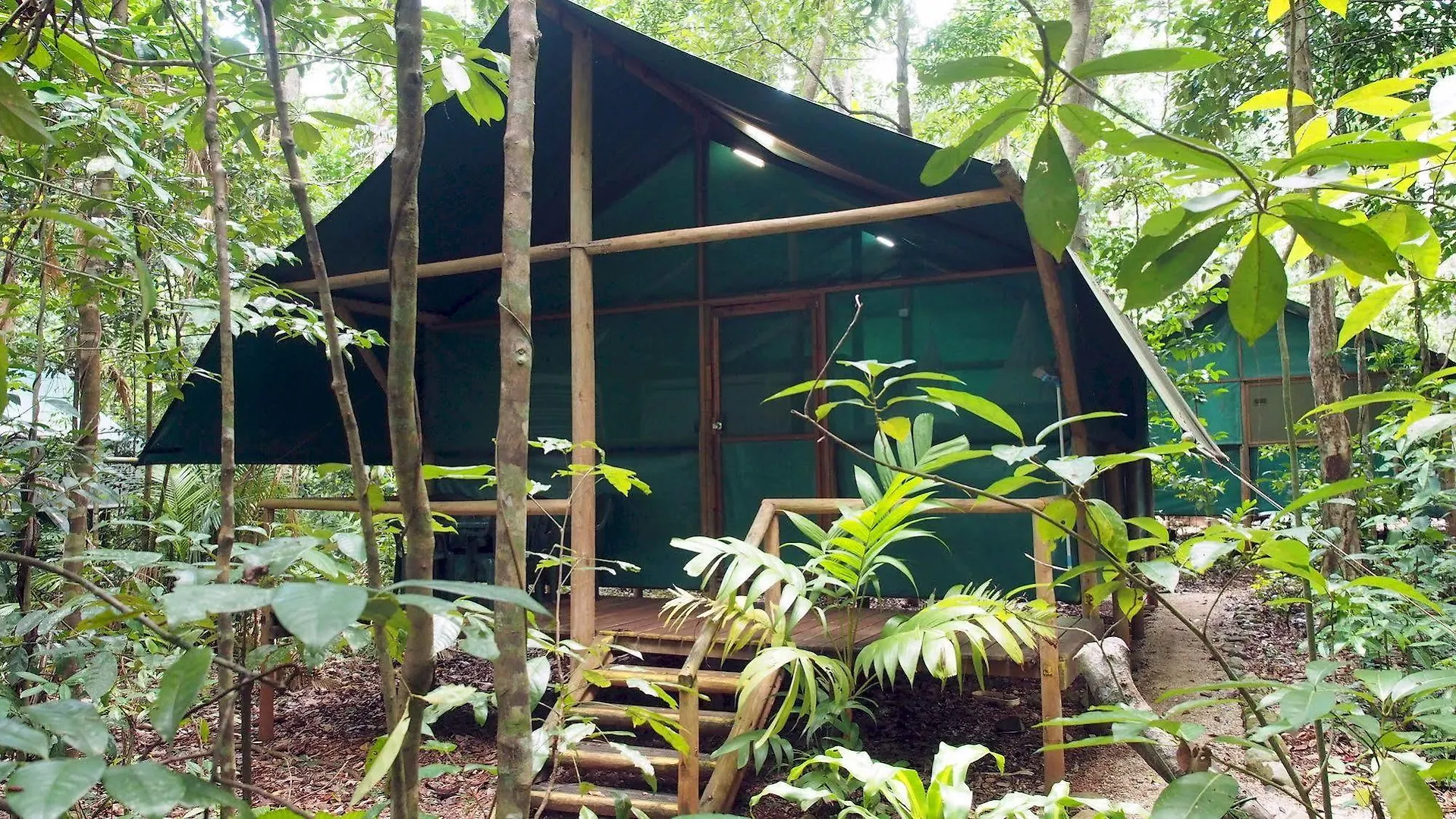 Daintree Crocodylus Village Cow Bay Australia