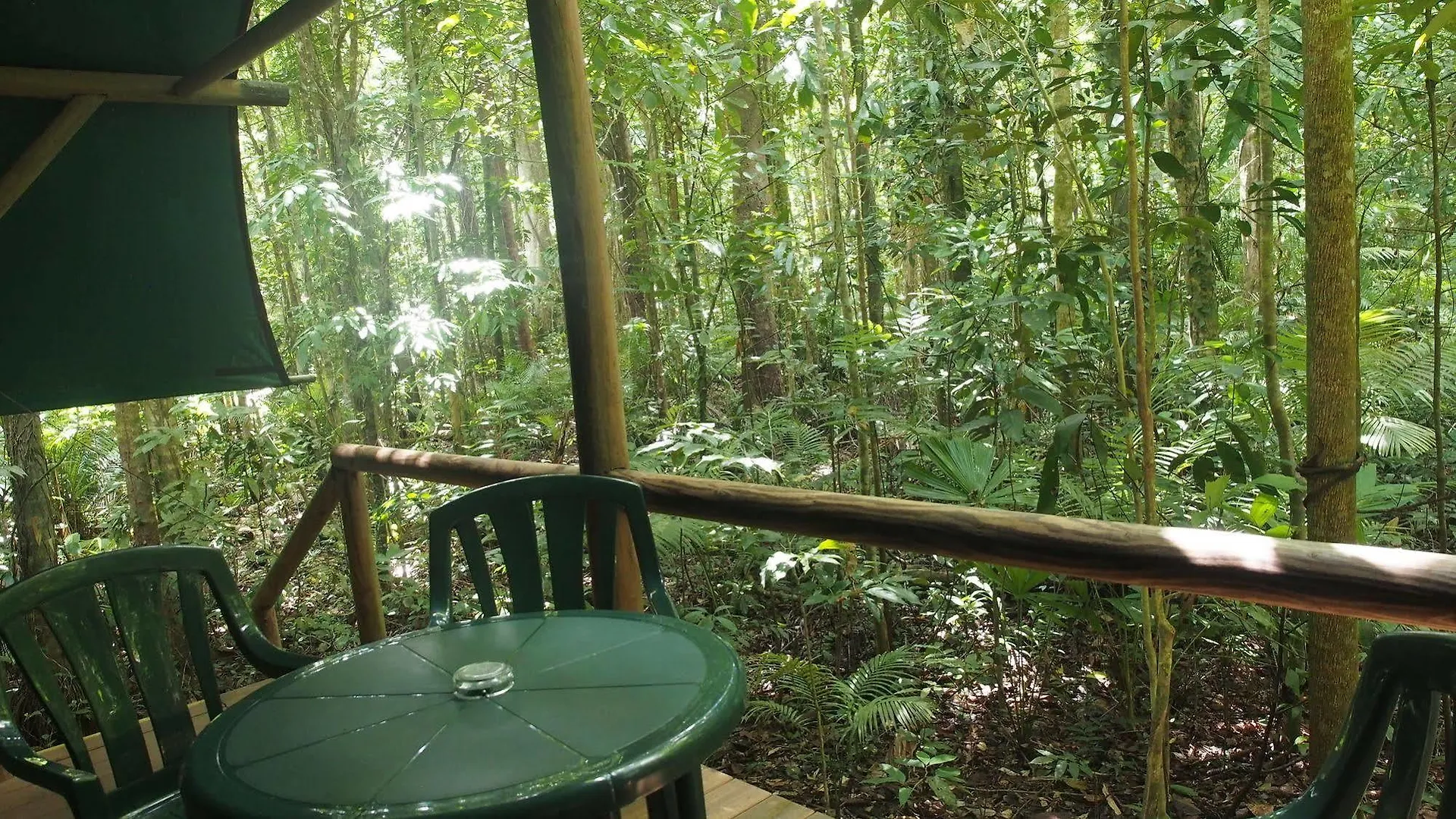 Daintree Crocodylus Village Cow Bay