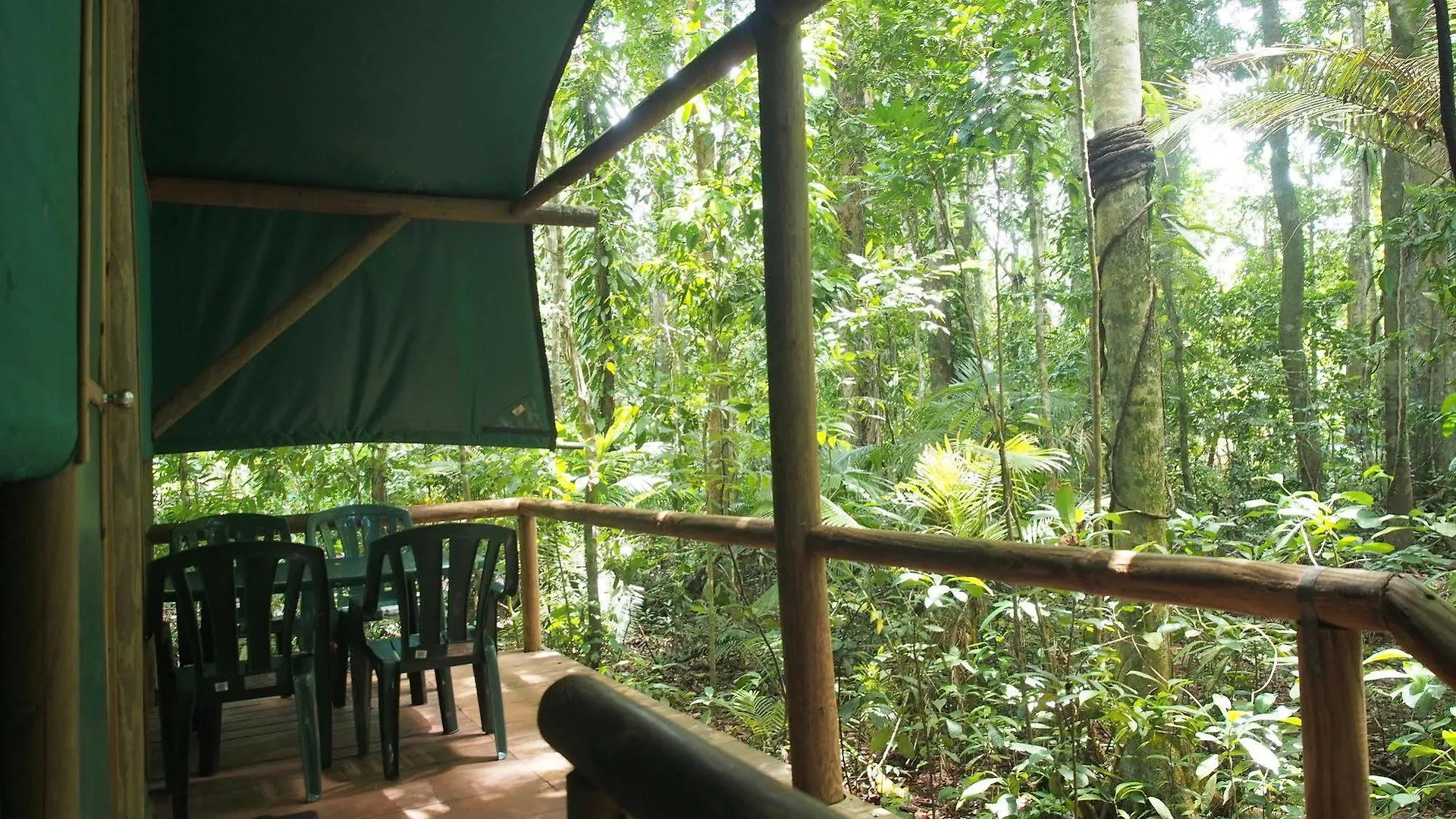 Lodge Daintree Crocodylus Village Cow Bay