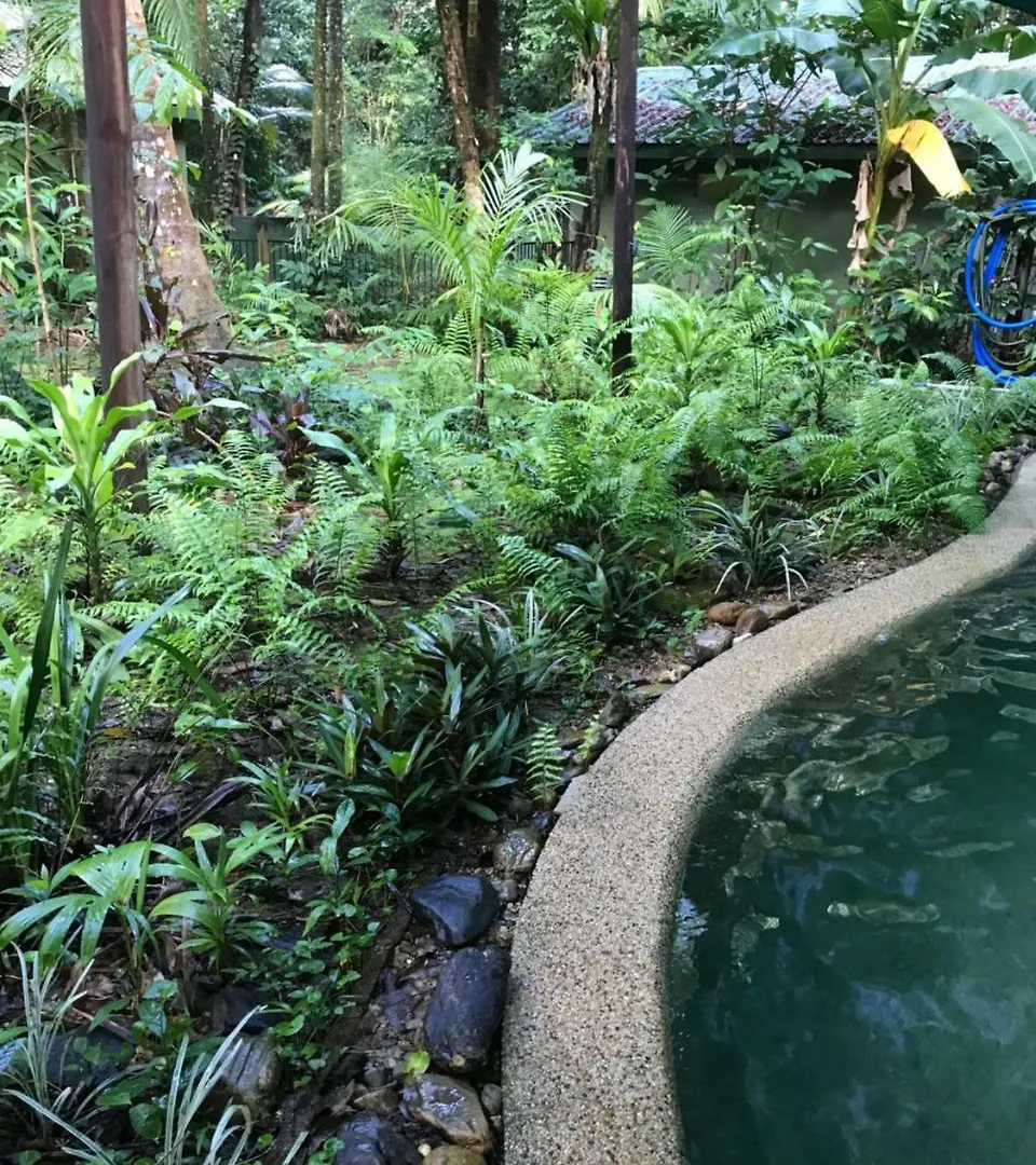 Daintree Crocodylus Village Cow Bay Lodge