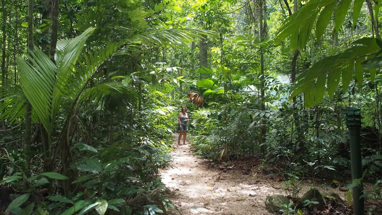 Daintree Crocodylus Village Cow Bay Lodge