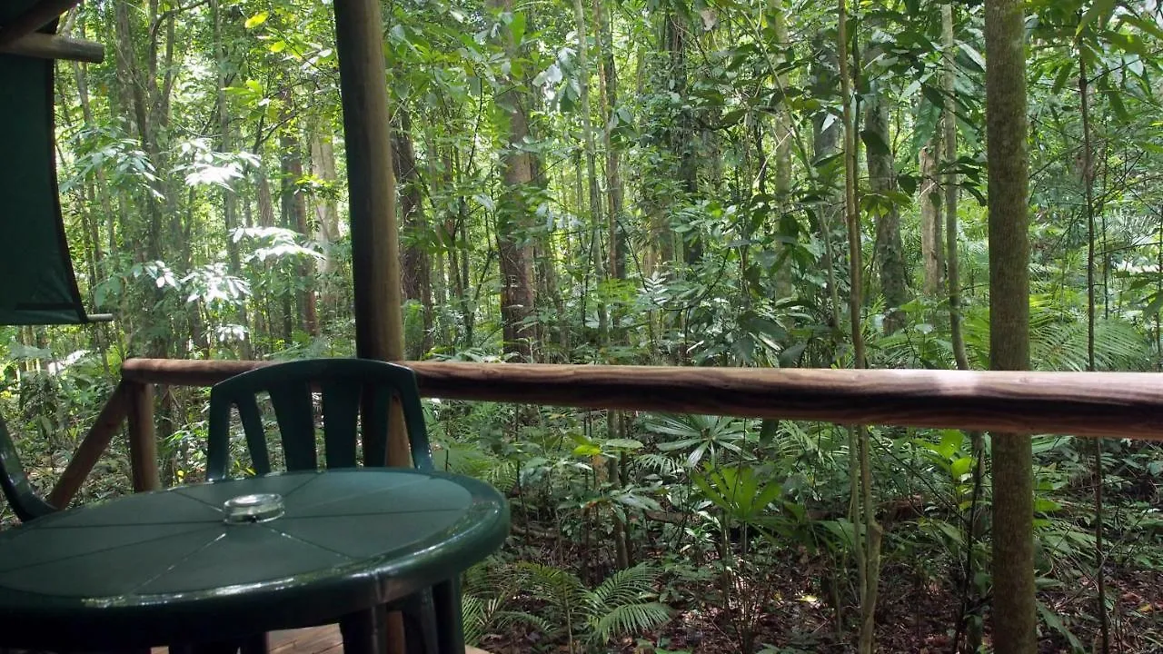 Daintree Crocodylus Village Cow Bay 0*,  Australia