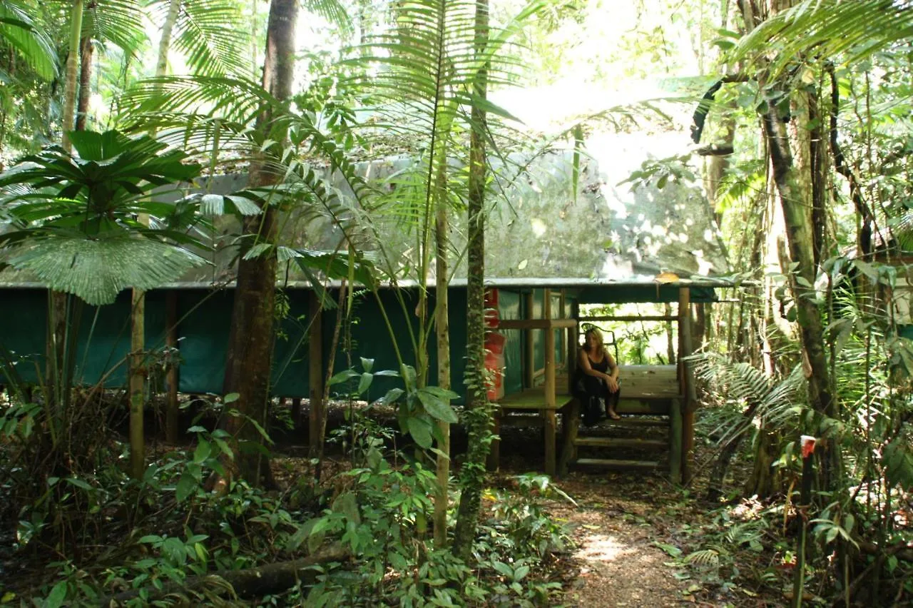 Daintree Crocodylus Village Cow Bay Lodge